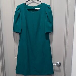 Eliza J Kelly Green Lined Dress Size 14 Puff Sleeve Zipper Back